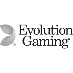 livecasino.nl evolution gaming logo